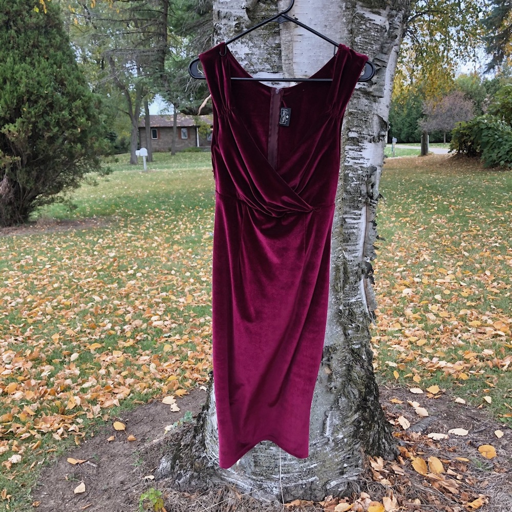 Rock Steady Lady Love Song Velvet Dress